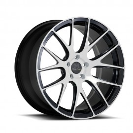 SV39 - White & Black