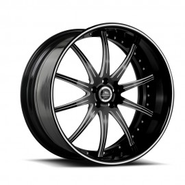 SV41 - Black & White
